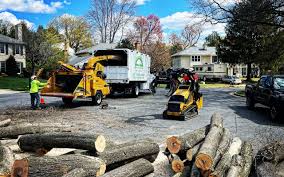 Best Hazardous Tree Removal  in Byron, GA